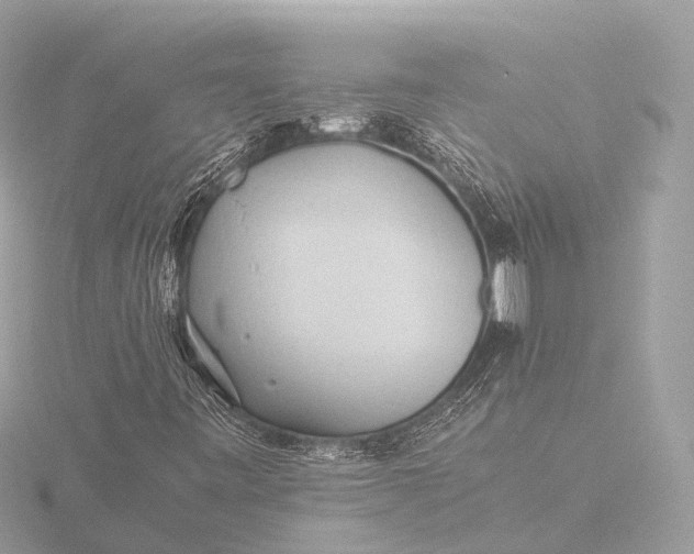 X0000116441443200912221515
