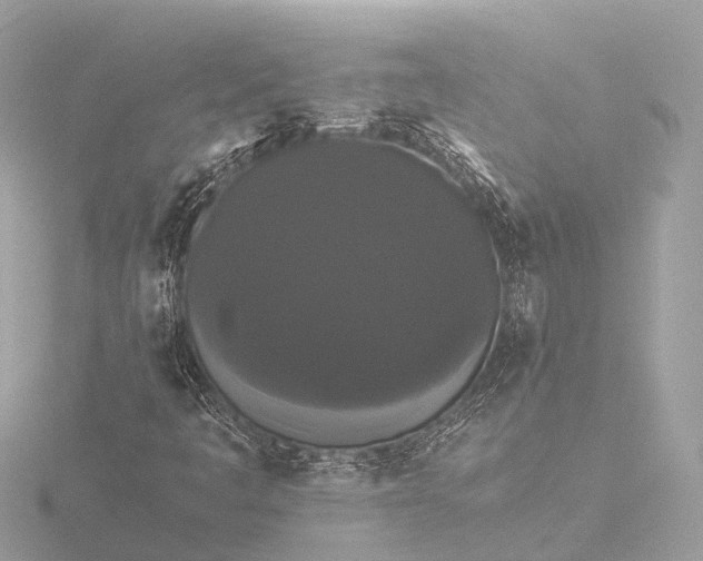 X0000116441445200912221515