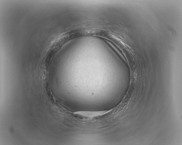 X0000116441447200912221515