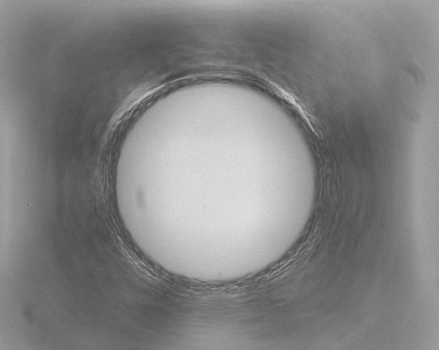 X0000116441448200912221515