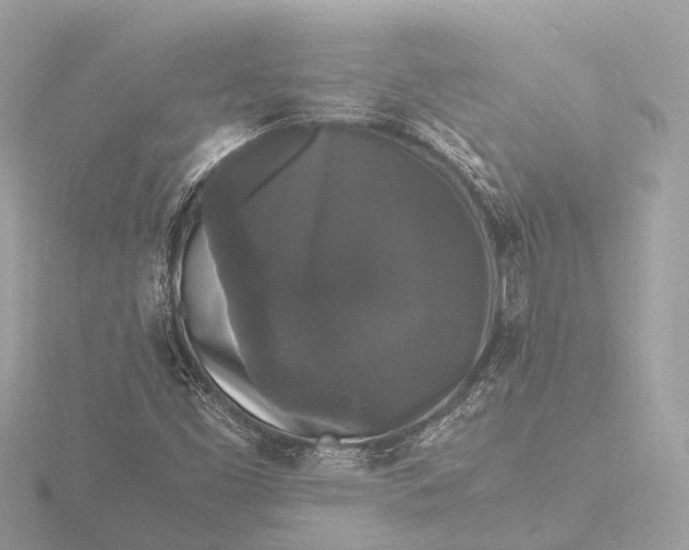X0000116441453200912221515