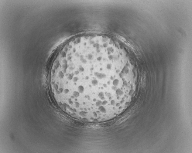 X0000116441454200912221515