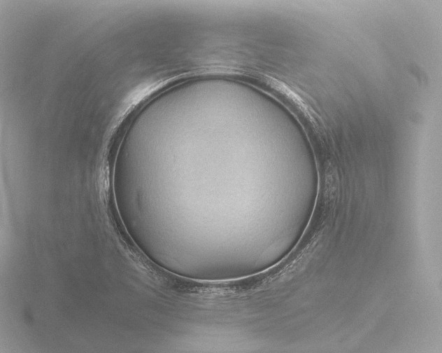 X0000116441461200912221515