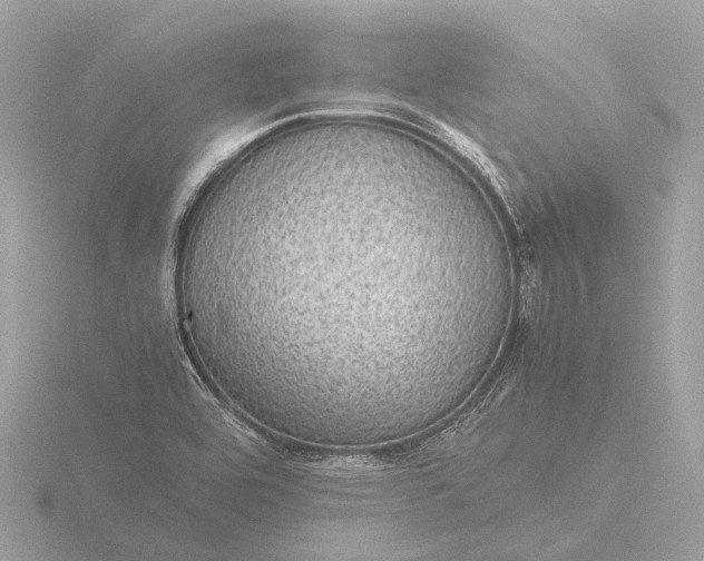 X0000116441464200912221515