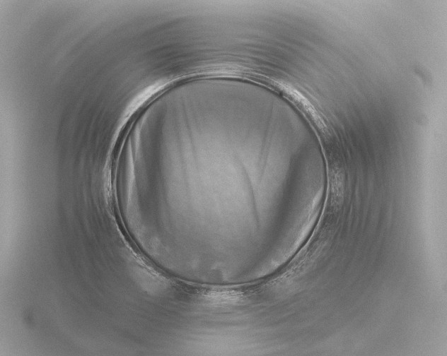 X0000116441466200912221515