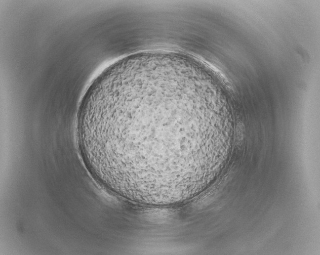X0000116441470200912221515