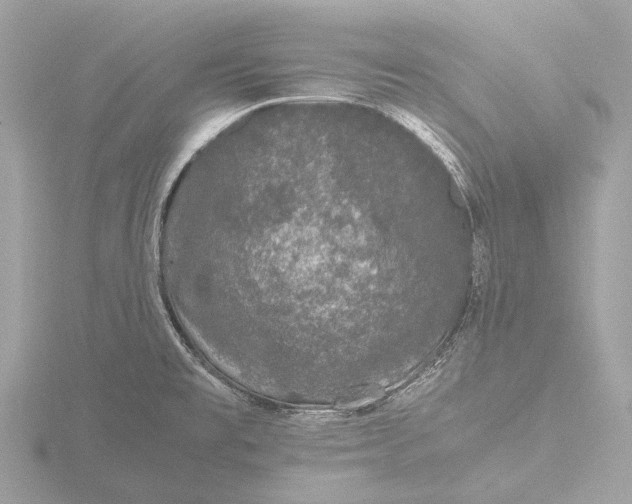 X0000116441477200912221515