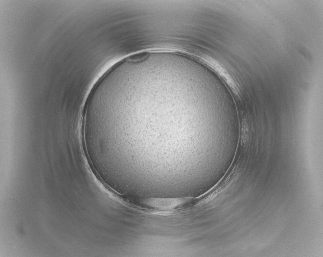 X0000116441484200912221515