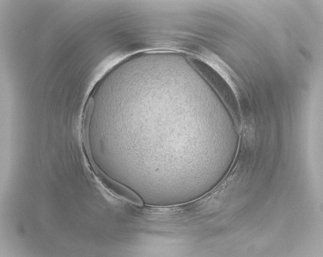 X0000116441485200912221515