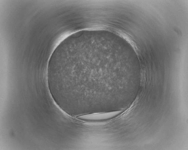 X0000116441487200912221515