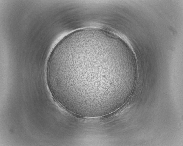 X0000116441488200912221515