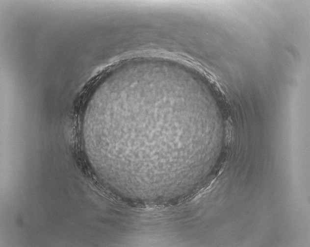 X0000116441494200912221514
