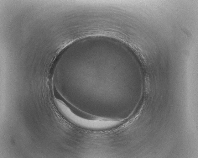 X0000116441497200912221514