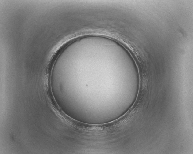 X0000116441503200912221514