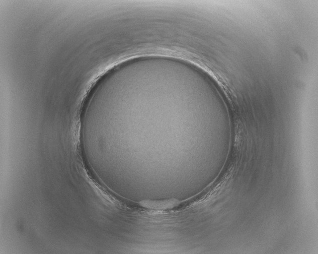 X0000116441507200912221514