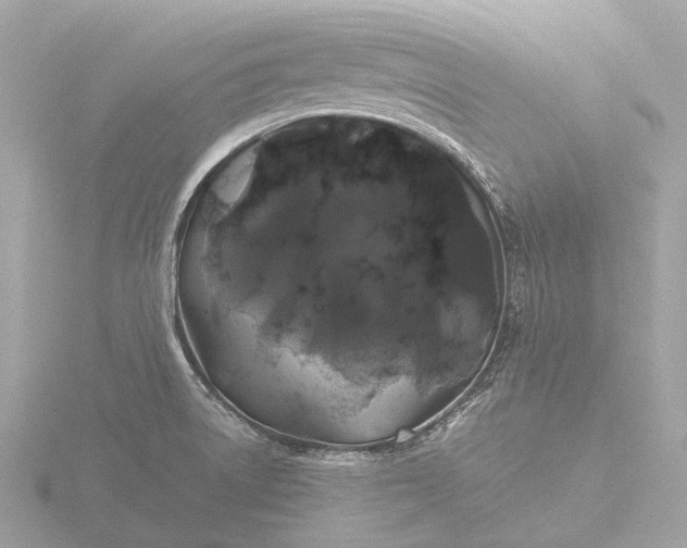 X0000116441522200912221514