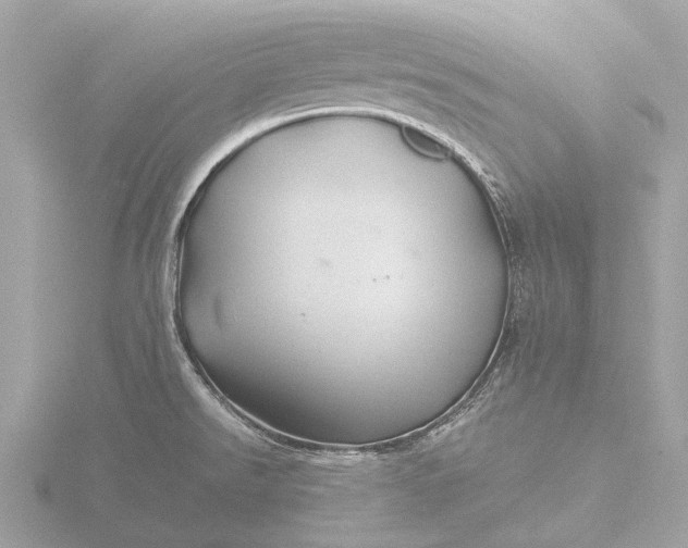 X0000116441526200912221514