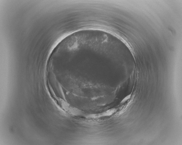 X0000116441533200912221515