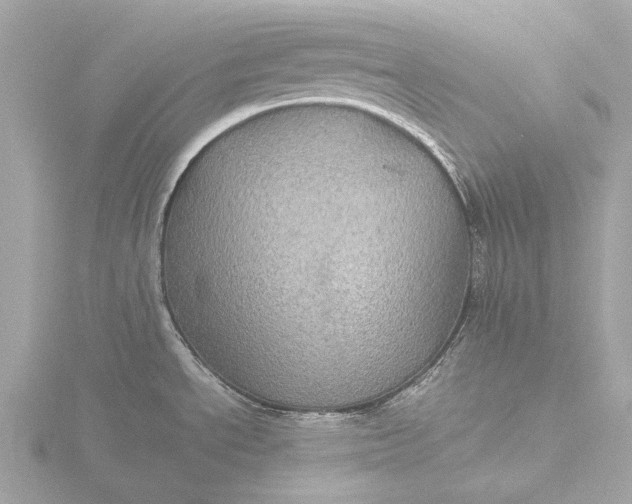 X0000116441534200912221515