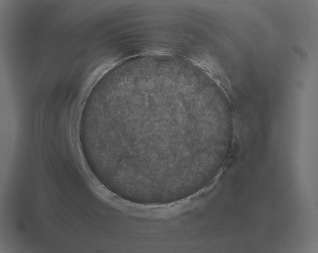 X0000116440001200912291937