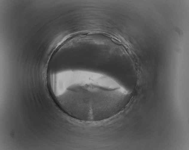 X0000116440002200912291937