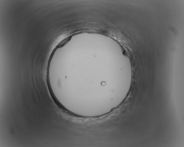 X0000116440003200912291937