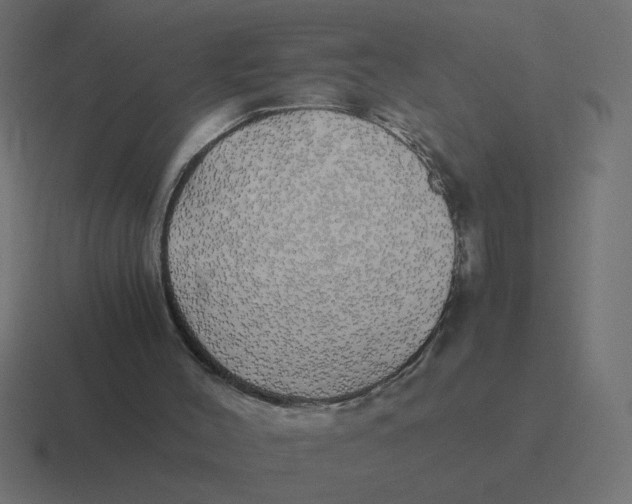 X0000116440004200912291937