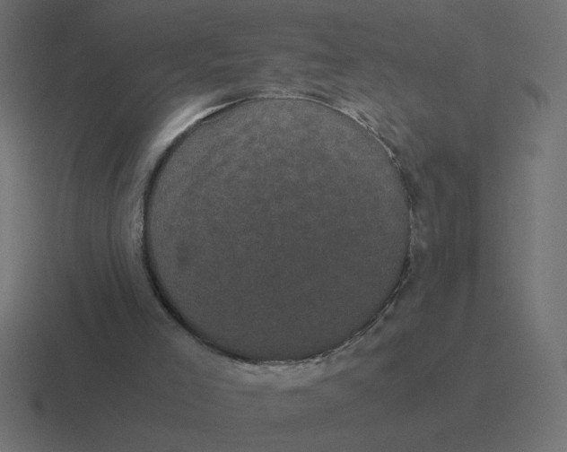 X0000116440005200912291937