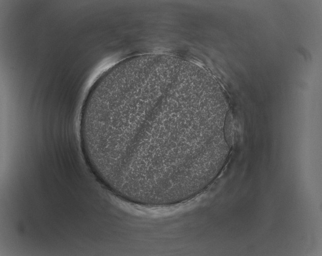 X0000116440006200912291937