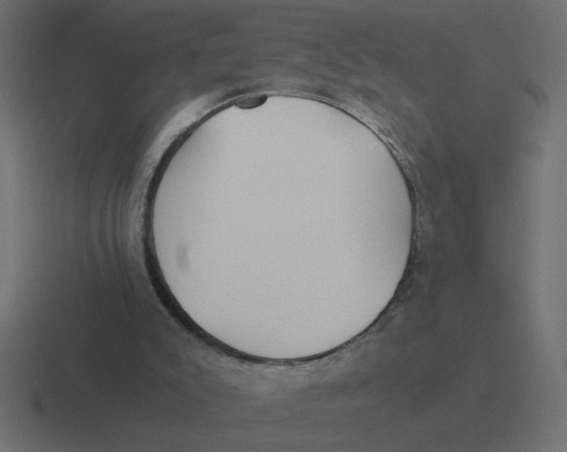 X0000116440007200912291937