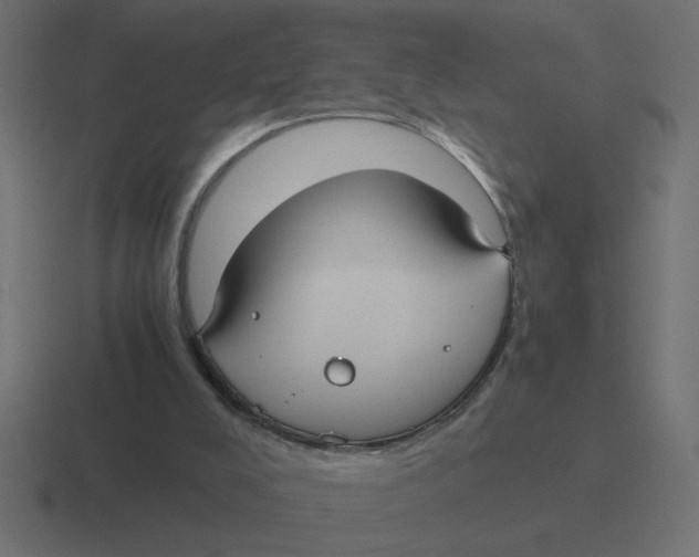 X0000116440008200912291937