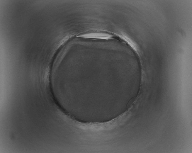 X0000116440009200912291937