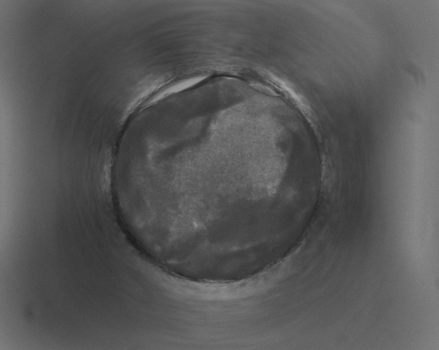 X0000116440010200912291937