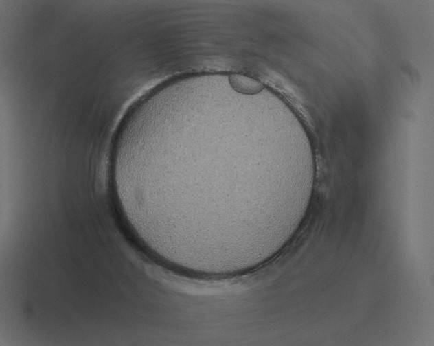 X0000116440012200912291937