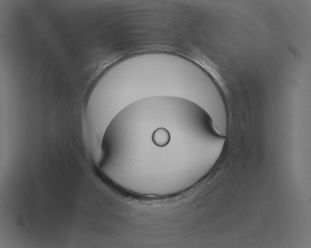 X0000116440013200912291937