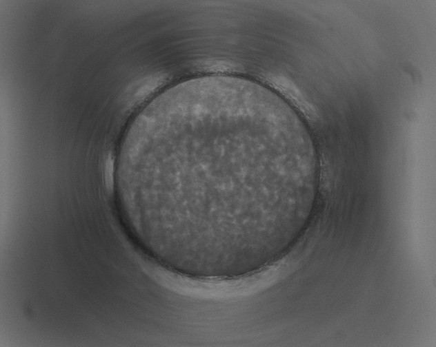 X0000116440014200912291937