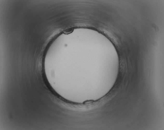 X0000116440015200912291937