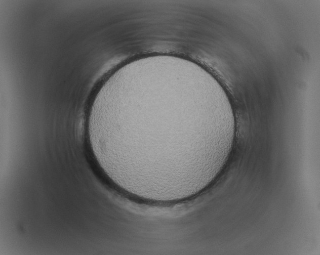 X0000116440016200912291937