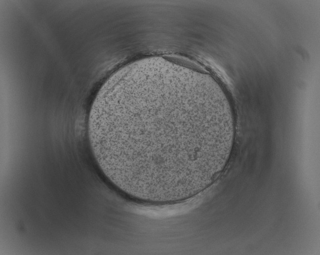 X0000116440017200912291937