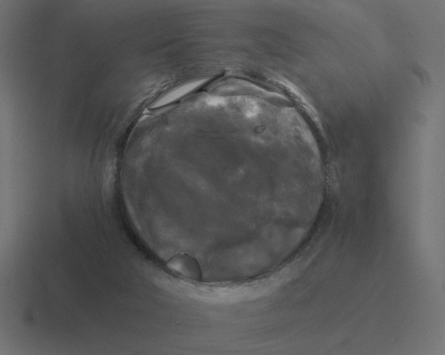 X0000116440018200912291937