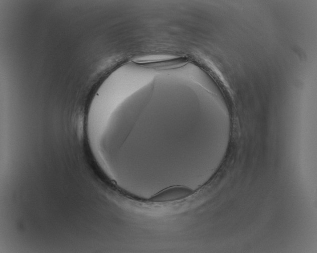 X0000116440019200912291937