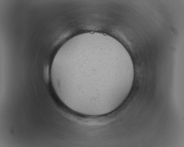 X0000116440020200912291937