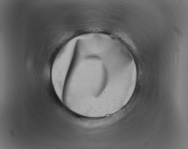 X0000116440021200912291937