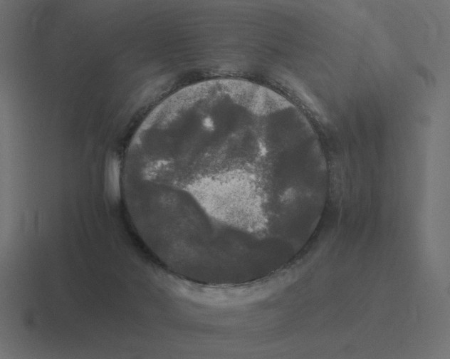 X0000116440022200912291937