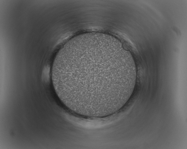 X0000116440024200912291937