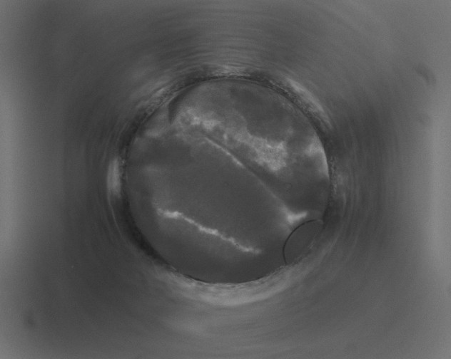 X0000116440026200912291937