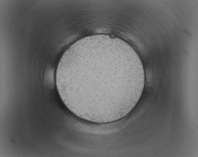 X0000116440028200912291936