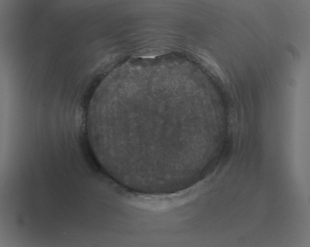 X0000116440029200912291936