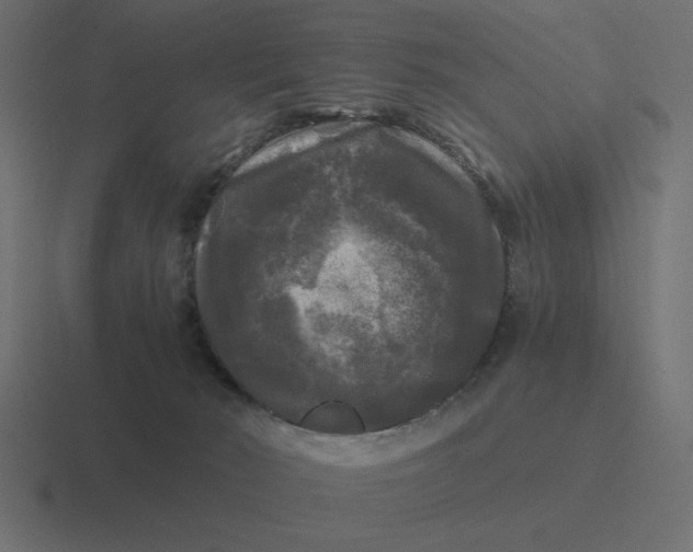 X0000116440030200912291936