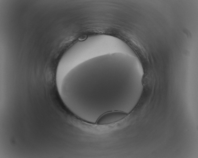 X0000116440031200912291936